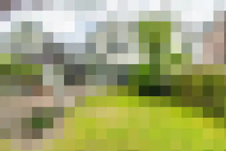 Leidseweg 45 Voorschoten thumbnail 4