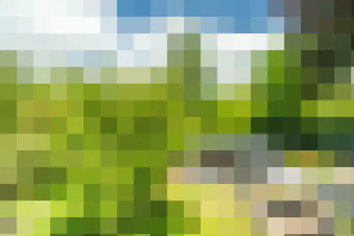 Leidseweg 45 Voorschoten thumbnail 40