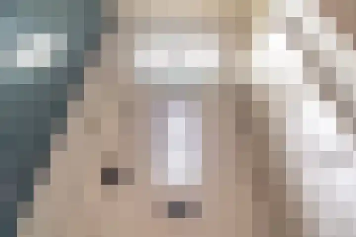 Leidseweg 45 Voorschoten thumbnail 6