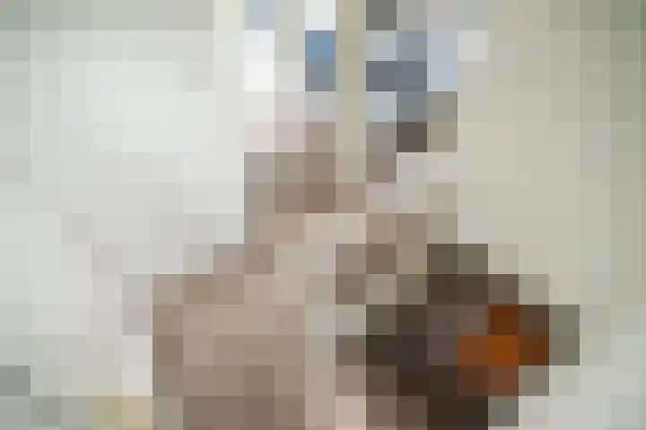 Leidseweg 45 Voorschoten thumbnail 62