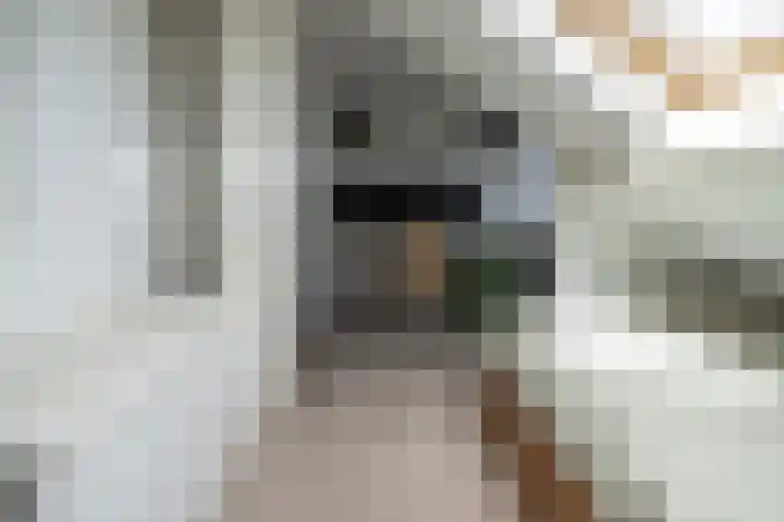 Leidseweg 45 Voorschoten thumbnail 65