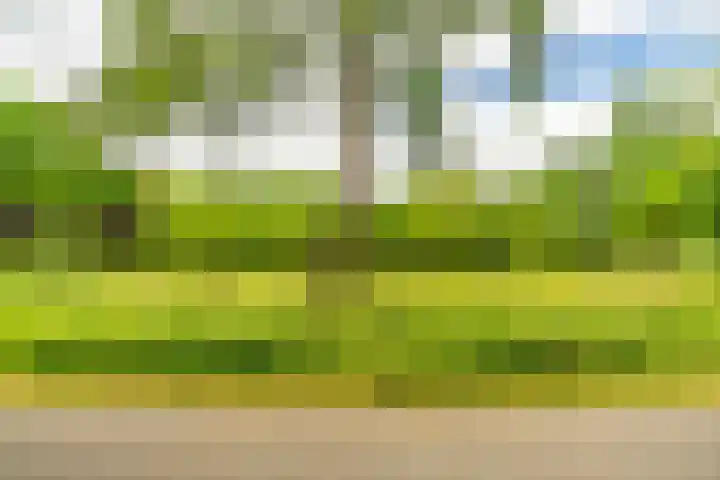 Leidseweg 45 Voorschoten thumbnail 71