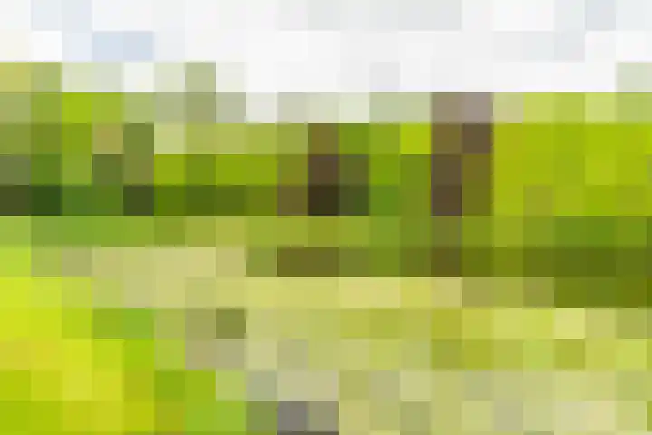 Leidseweg 45 Voorschoten thumbnail 73