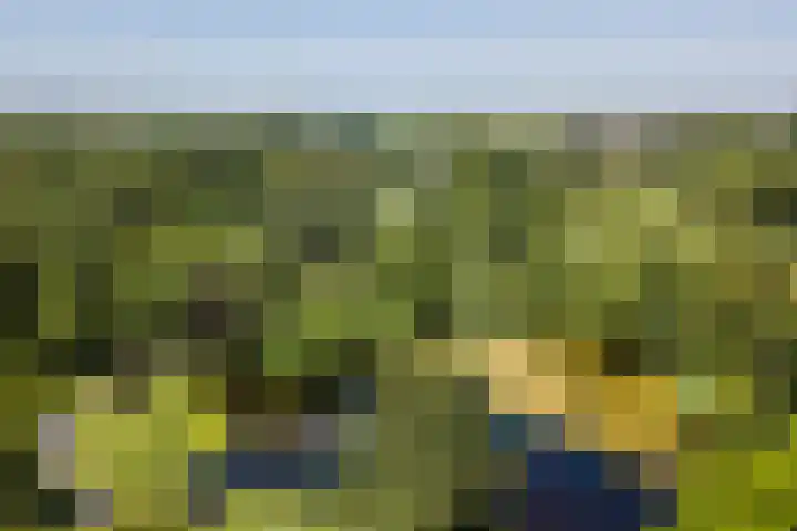 Leidseweg 45 Voorschoten thumbnail 75