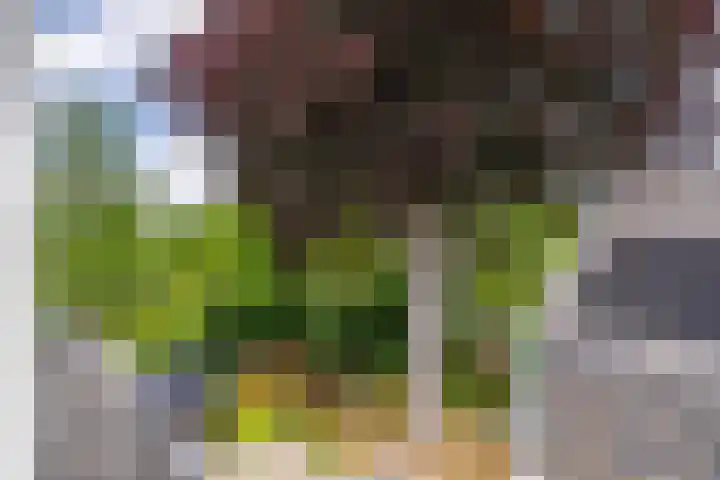 Leidseweg 45 Voorschoten thumbnail 77