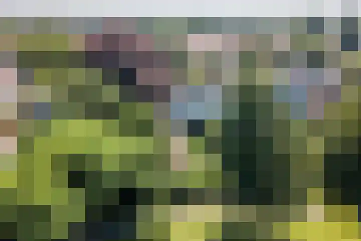 Leidseweg 45 Voorschoten thumbnail 81