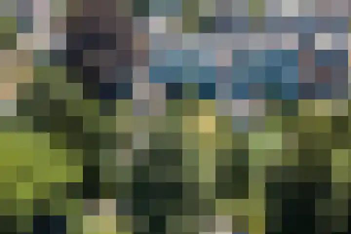 Leidseweg 45 Voorschoten thumbnail 82
