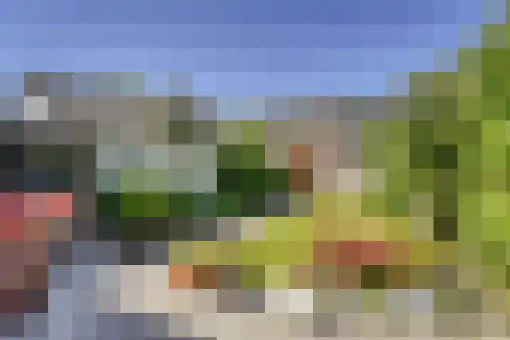 Leidseweg 473 Voorschoten thumbnail 15