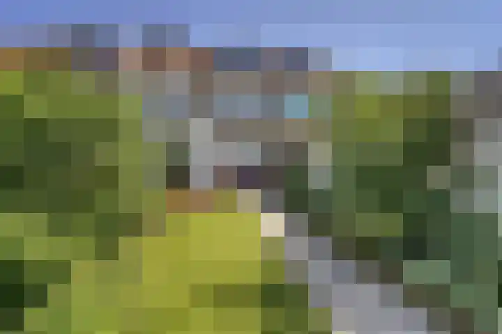 Leidseweg 473 Voorschoten thumbnail 17