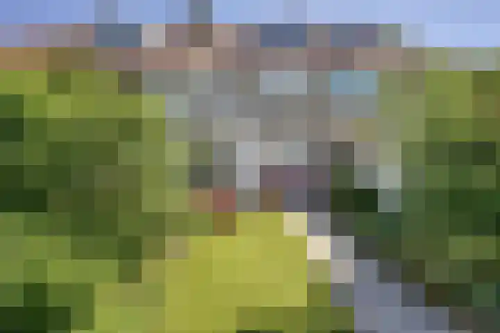 Leidseweg 473 Voorschoten thumbnail 18