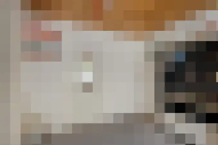 Leidseweg 473 Voorschoten thumbnail 25