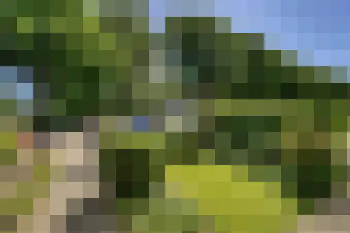 Leidseweg 473 Voorschoten thumbnail 6
