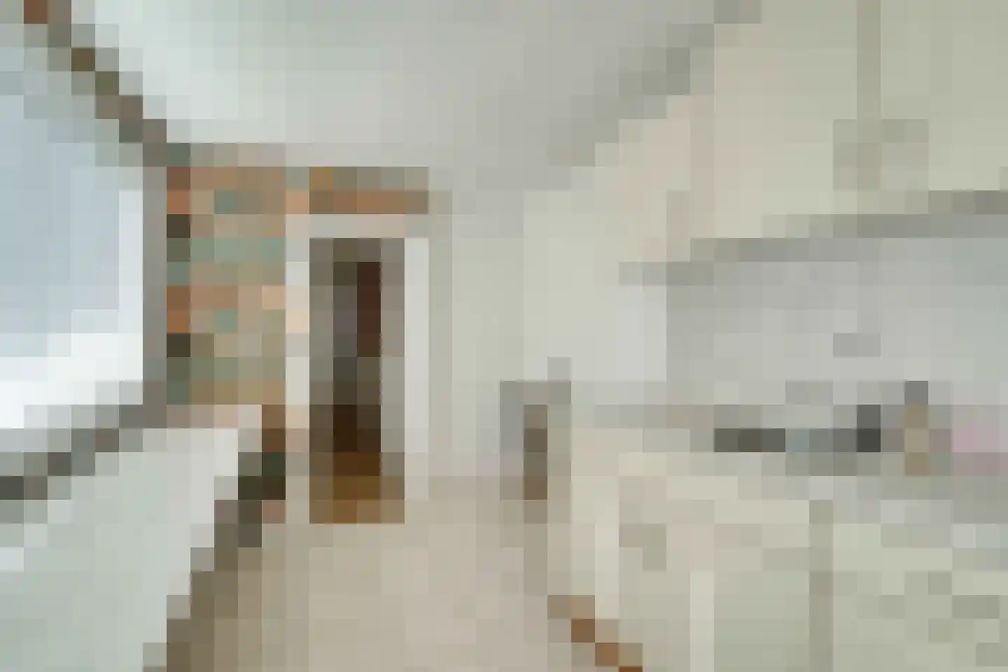 Leidseweg 48 Voorschoten thumbnail 17