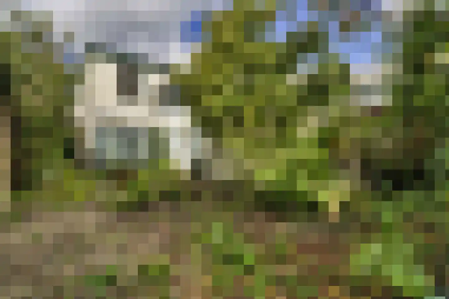 Leidseweg 48 Voorschoten thumbnail 27