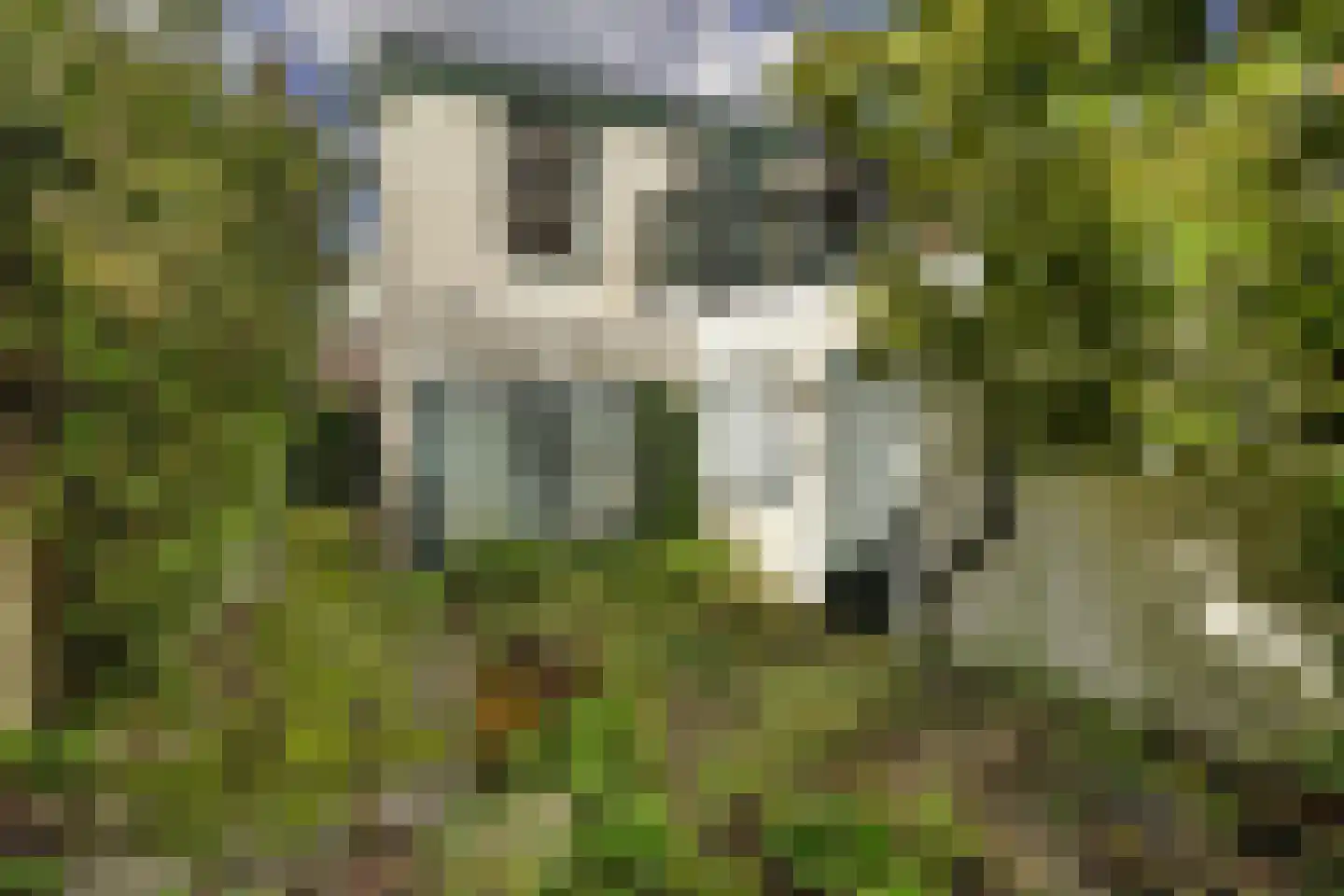 Leidseweg 48 Voorschoten thumbnail 28