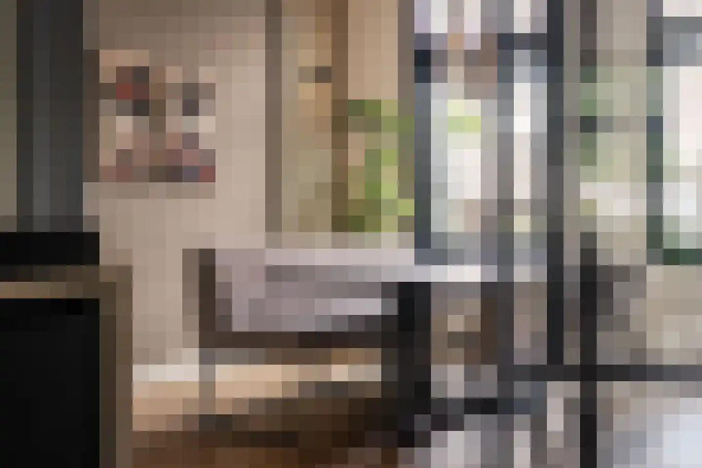 Leidseweg 50 Utrecht thumbnail 10