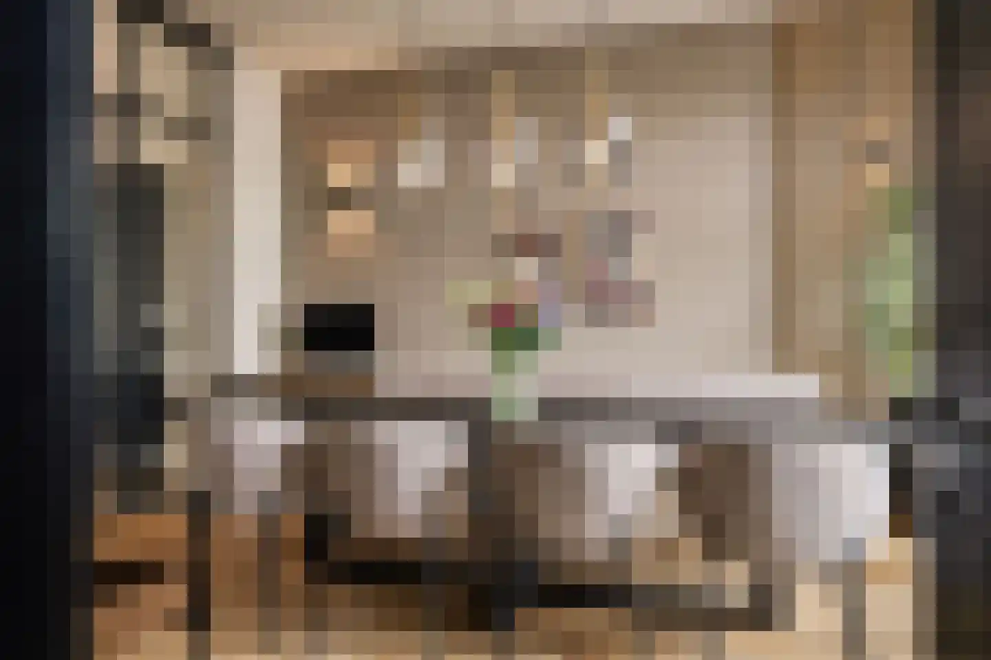 Leidseweg 50 Utrecht thumbnail 13