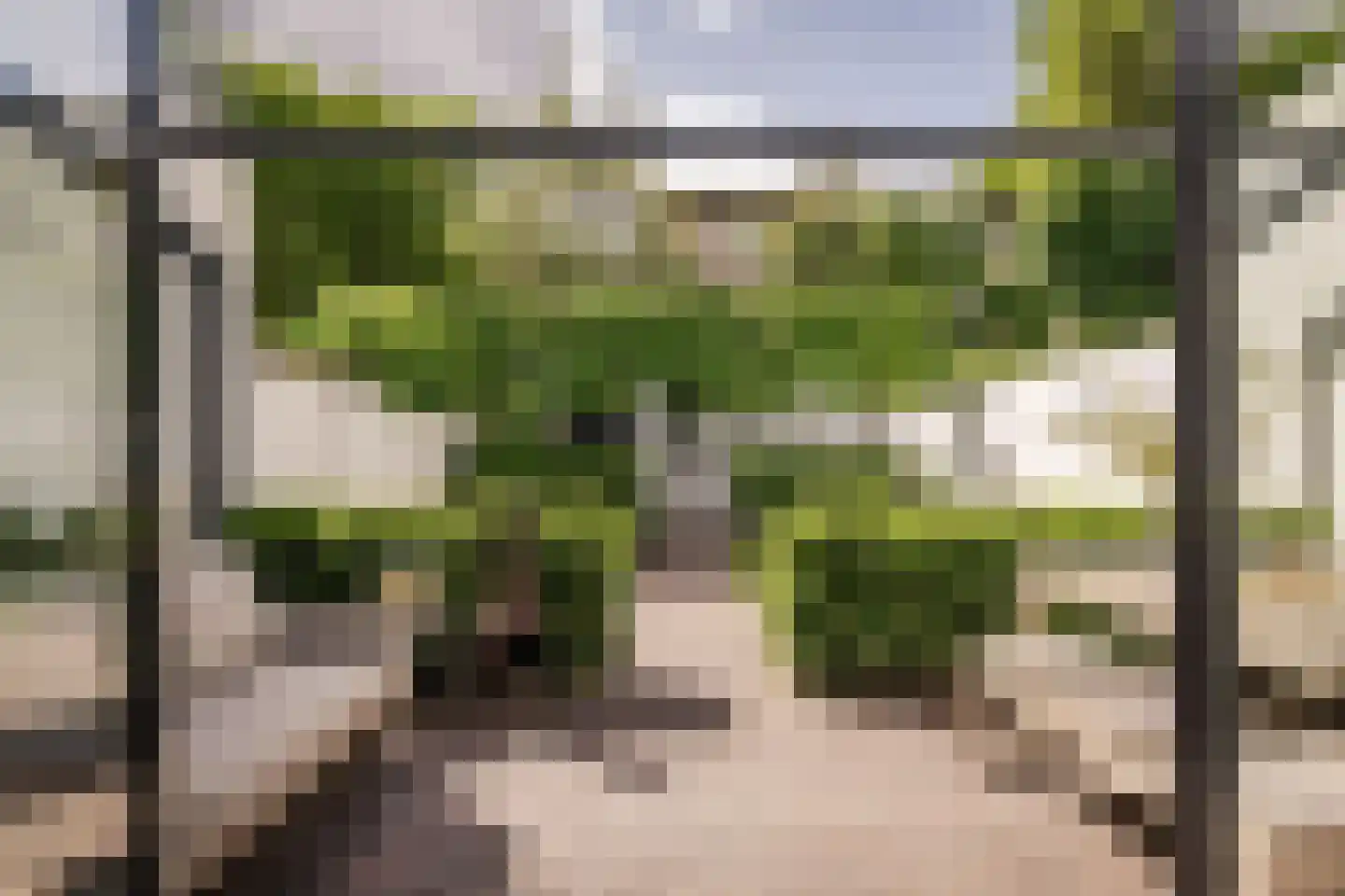Leidseweg 50 Utrecht thumbnail 20