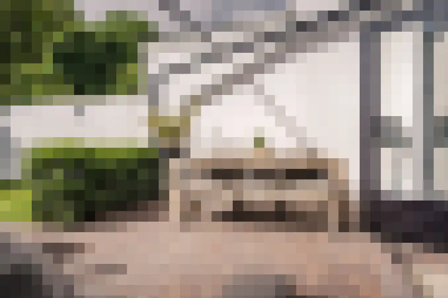 Leidseweg 50 Utrecht thumbnail 21