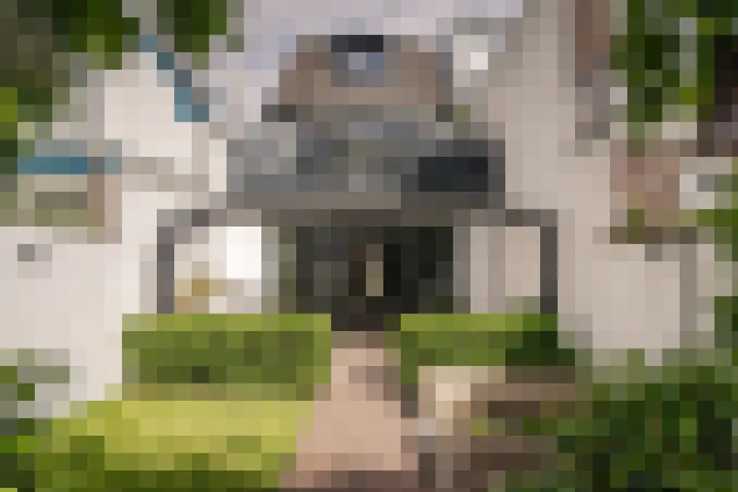 Leidseweg 50 Utrecht thumbnail 22