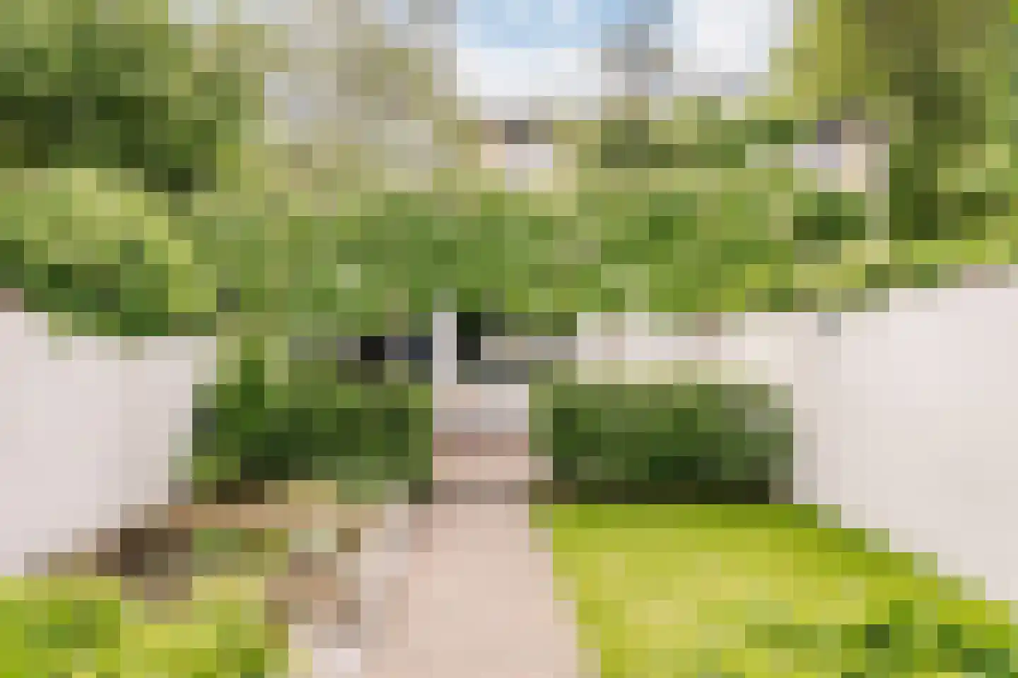 Leidseweg 50 Utrecht thumbnail 24