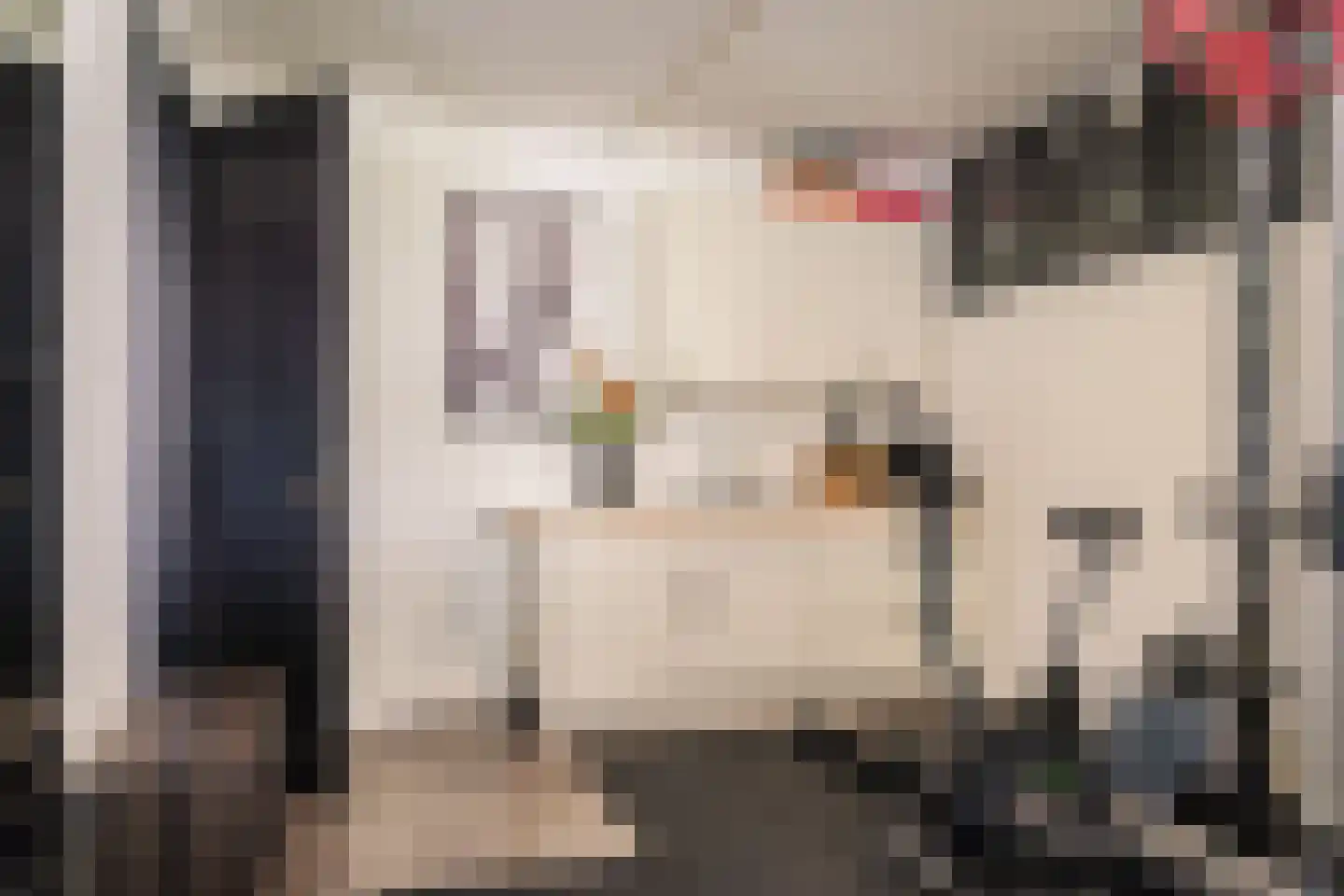 Leidseweg 50 Utrecht thumbnail 27
