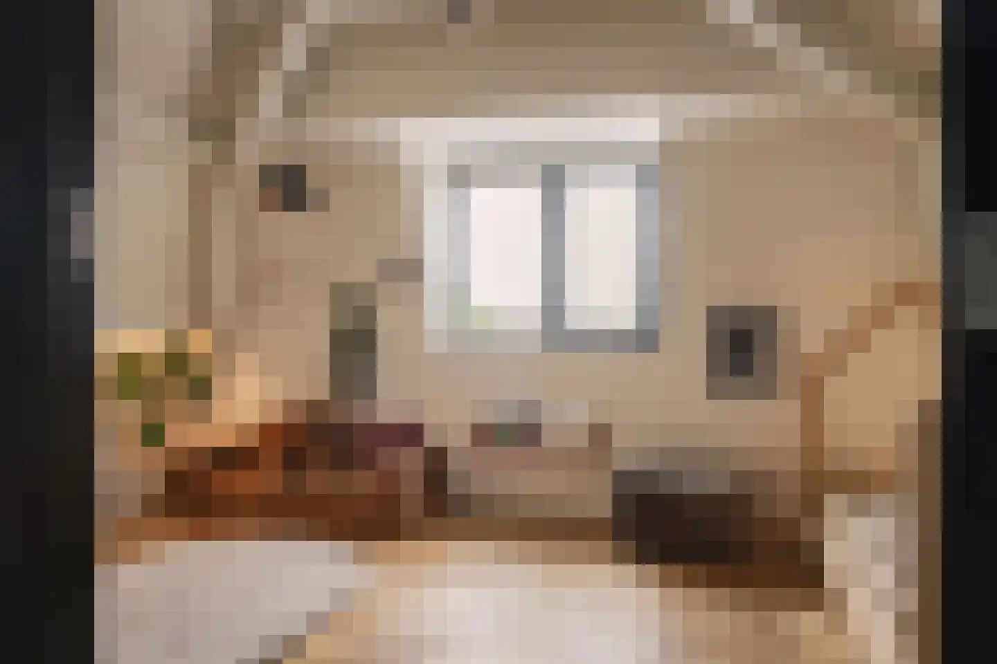 Leidseweg 50 Utrecht thumbnail 48
