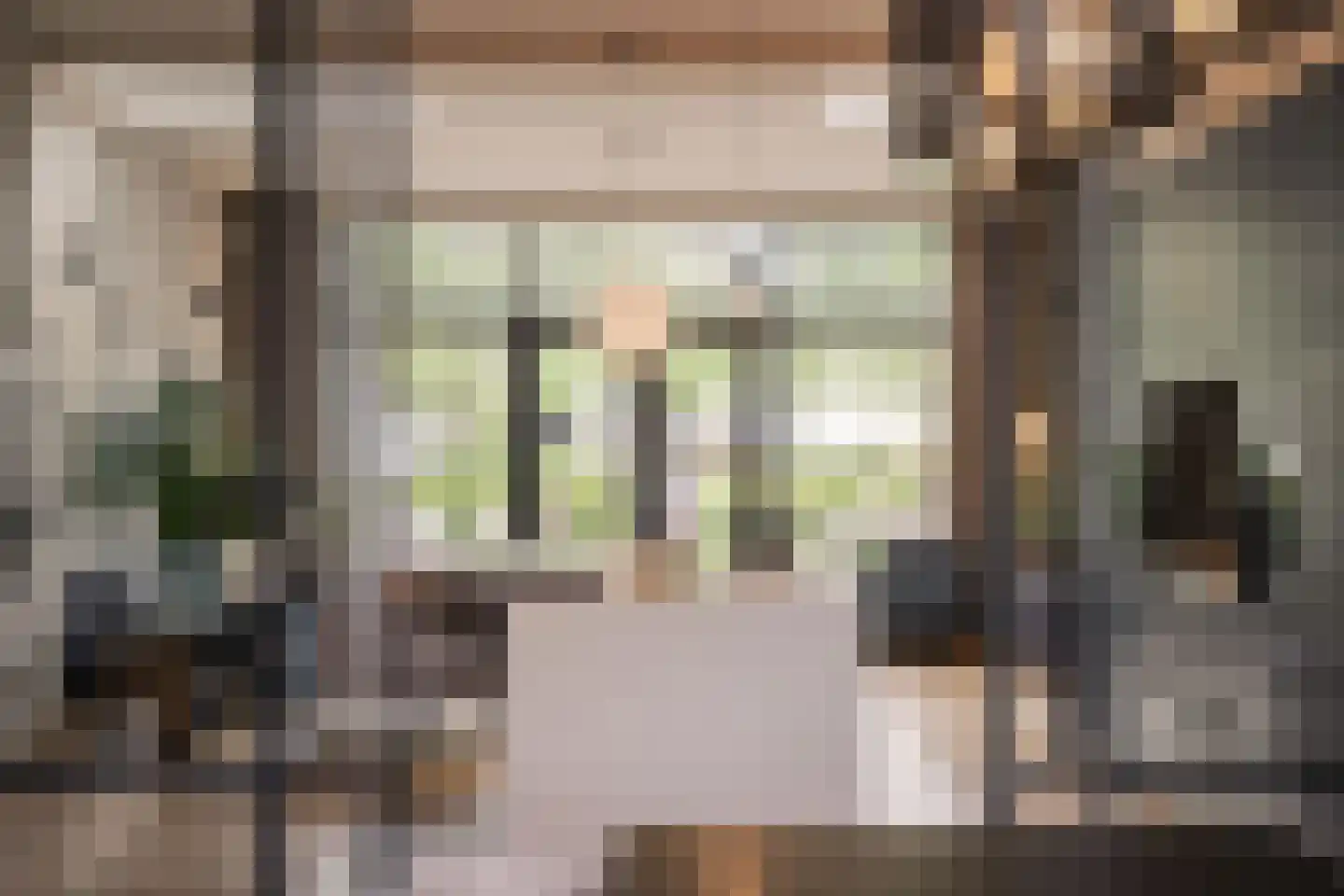 Leidseweg 50 Utrecht thumbnail 5