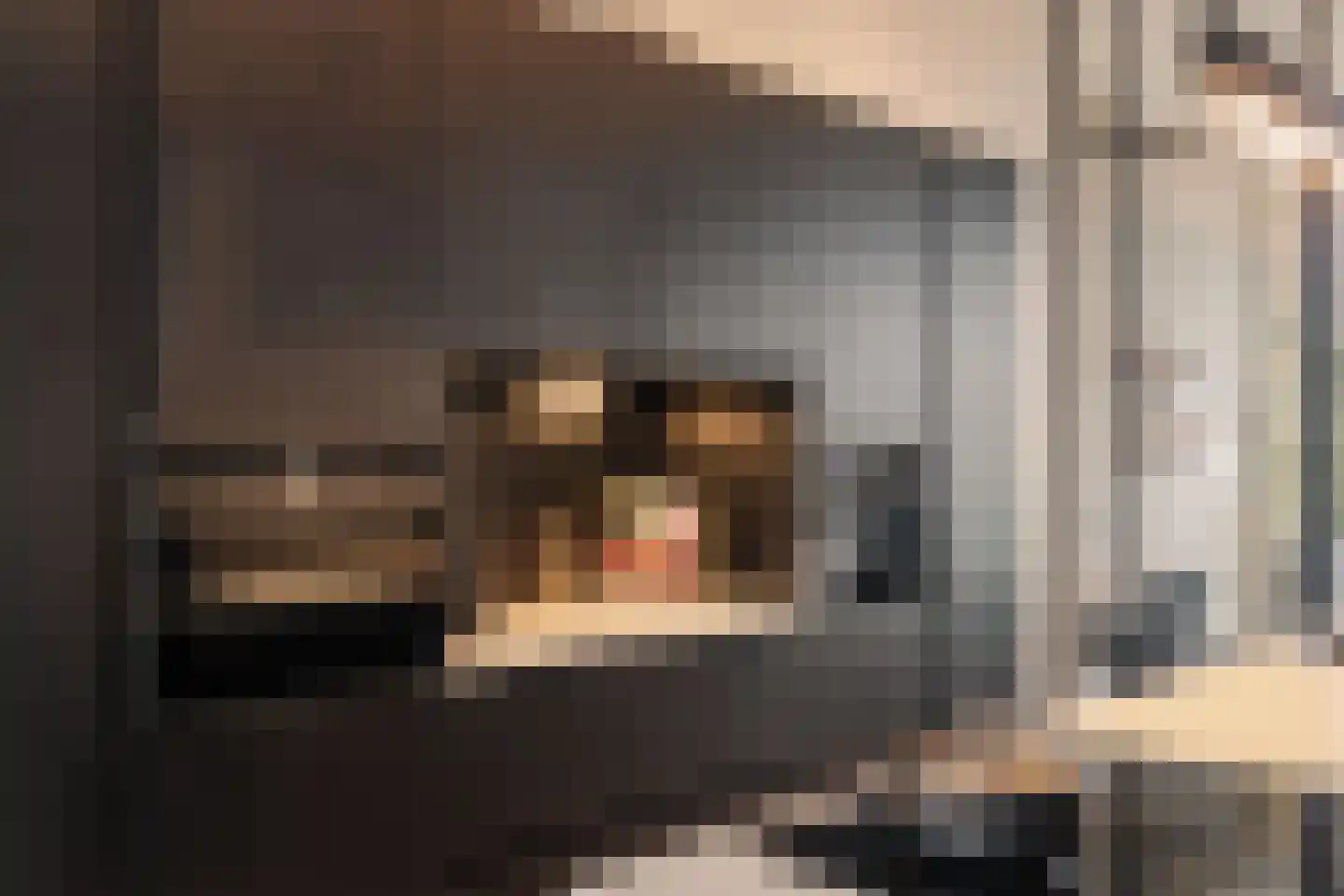 Leidseweg 50 Utrecht thumbnail 7