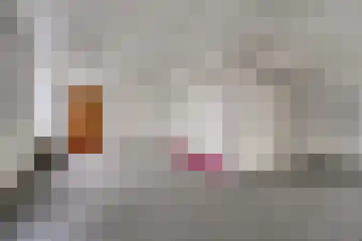Leidseweg 52 Voorschoten thumbnail 14