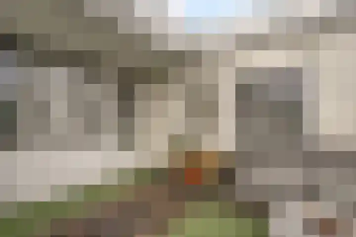 Leidseweg 52 Voorschoten thumbnail 31