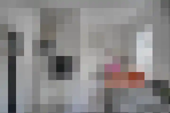 Leidseweg 52 Voorschoten thumbnail 41