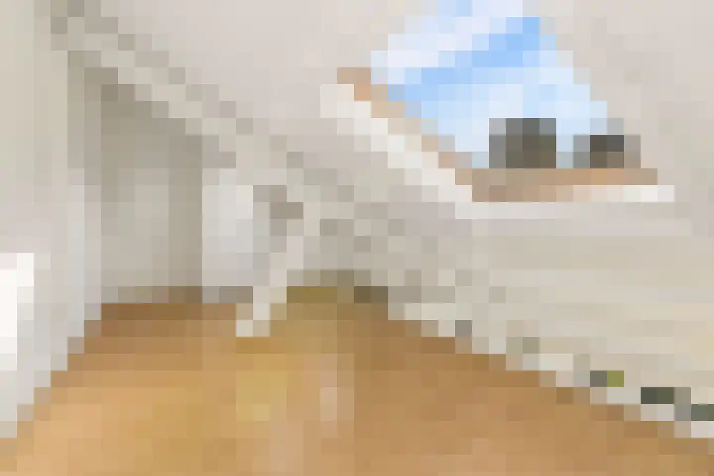 Leidseweg 53 C Utrecht thumbnail 4
