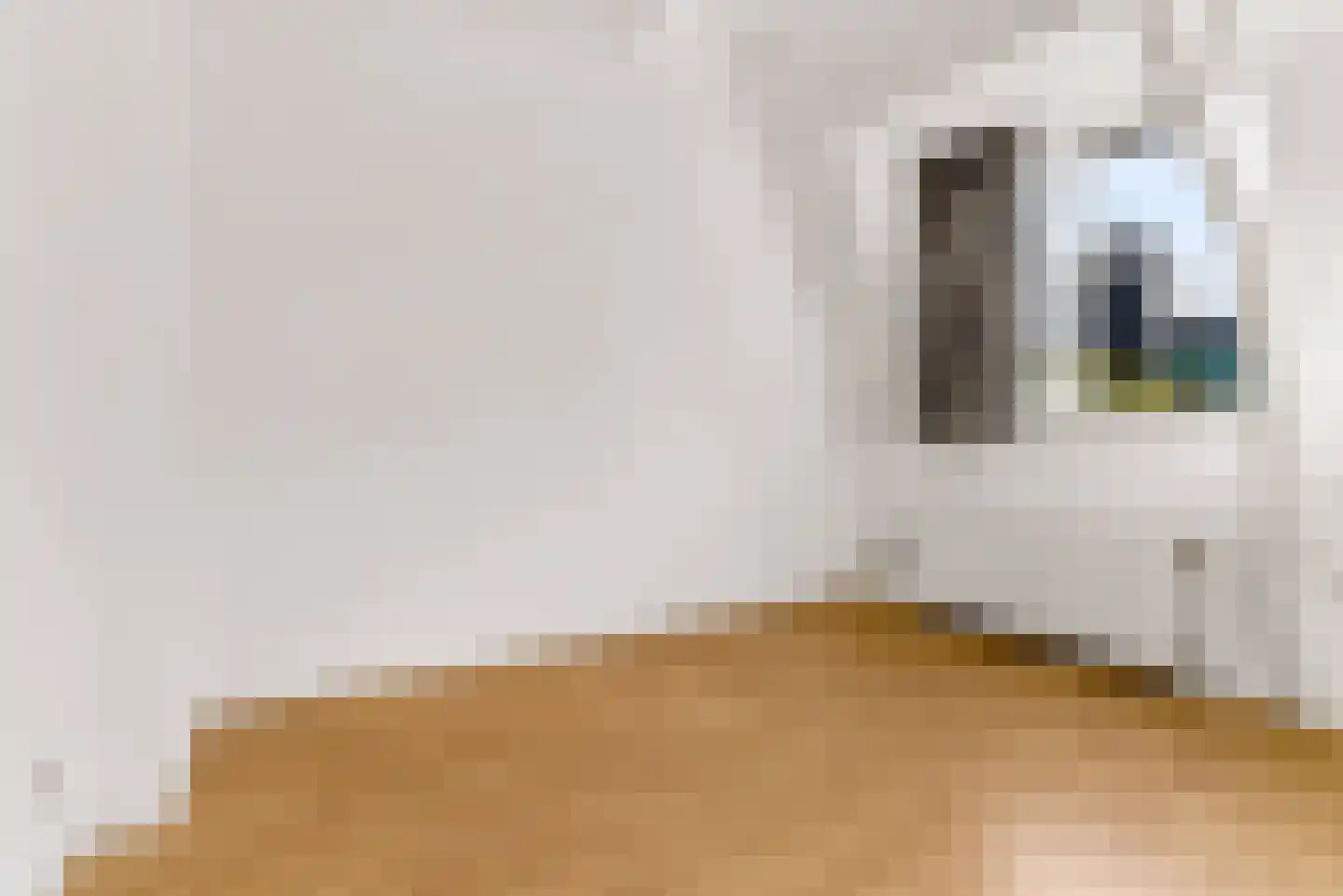 Leidseweg 53 C Utrecht thumbnail 8