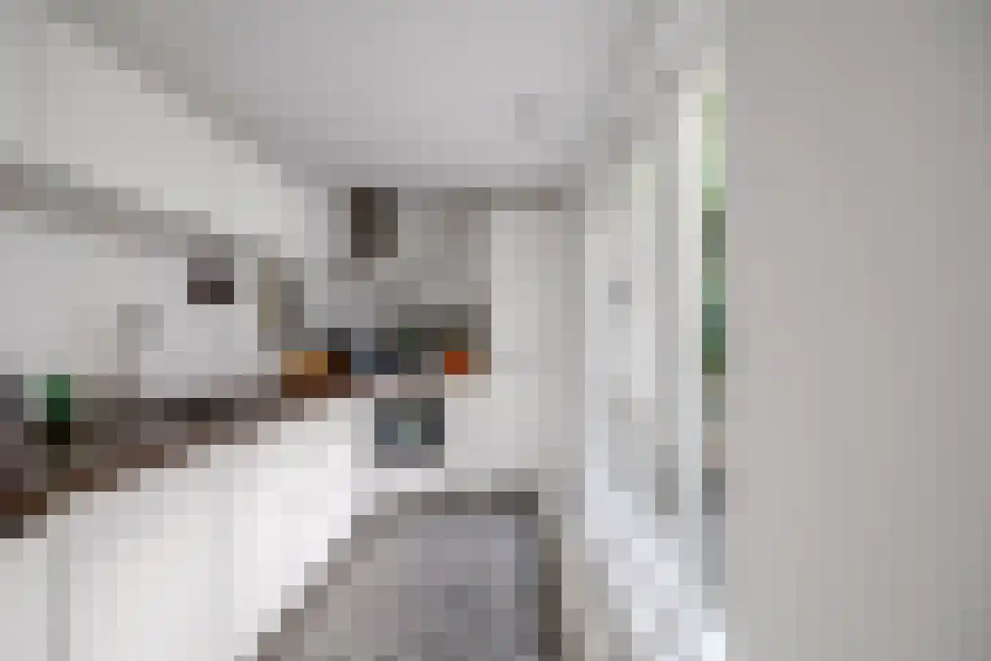 Leidseweg 61 Utrecht thumbnail 18
