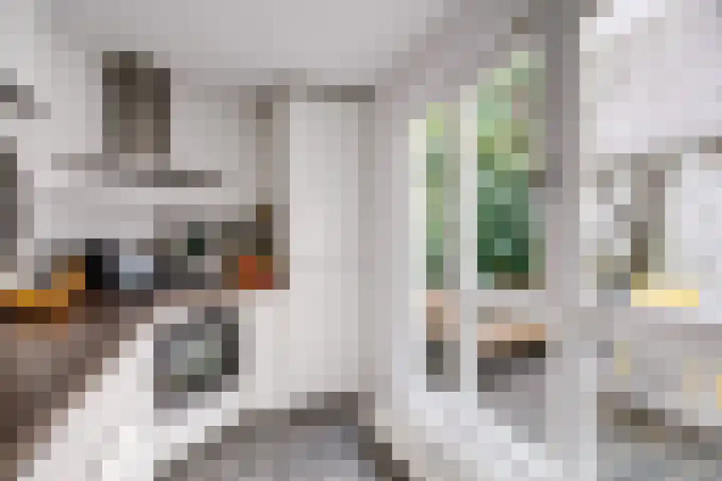 Leidseweg 61 Utrecht thumbnail 19