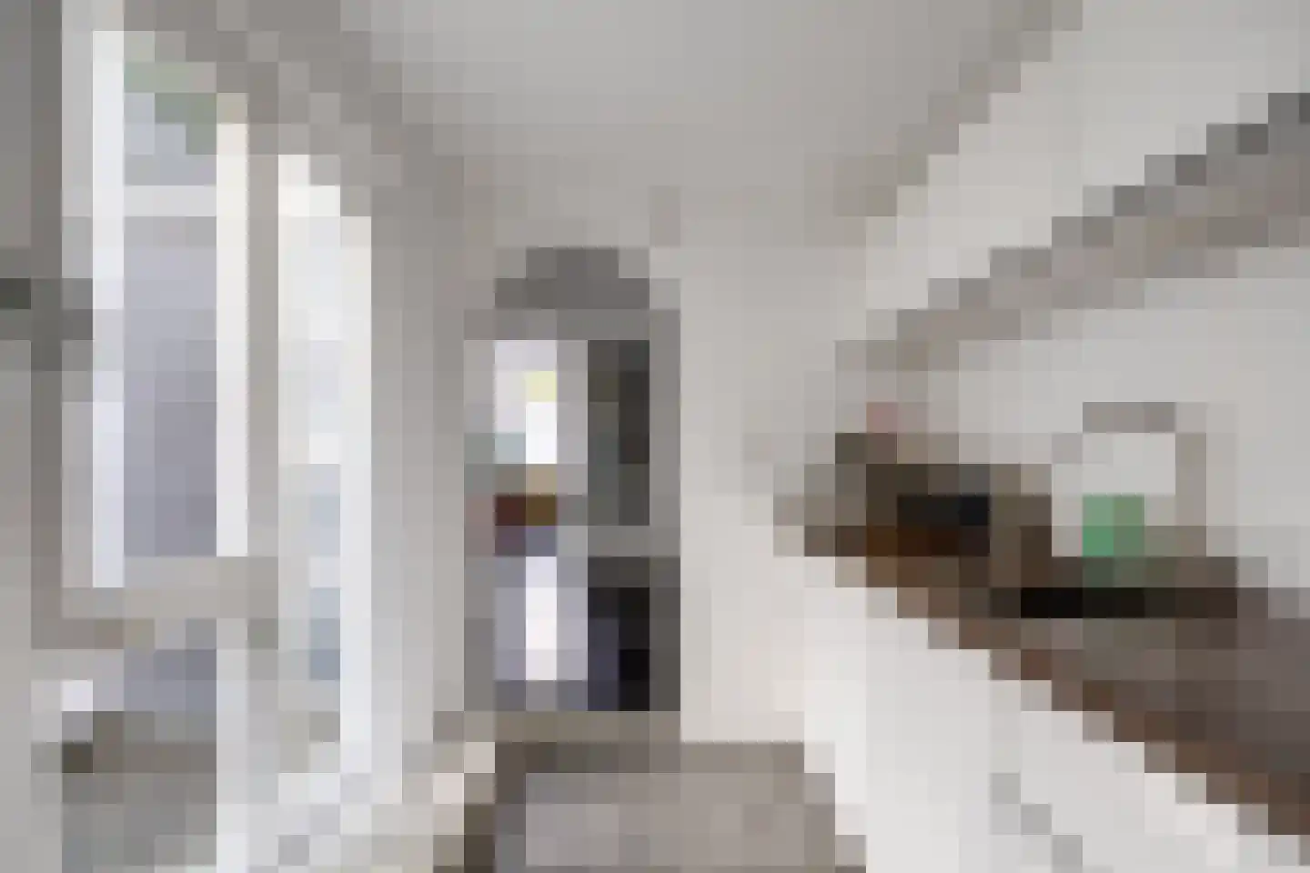 Leidseweg 61 Utrecht thumbnail 21