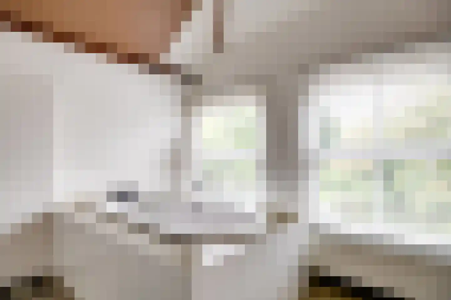 Leidseweg 61 Utrecht thumbnail 39