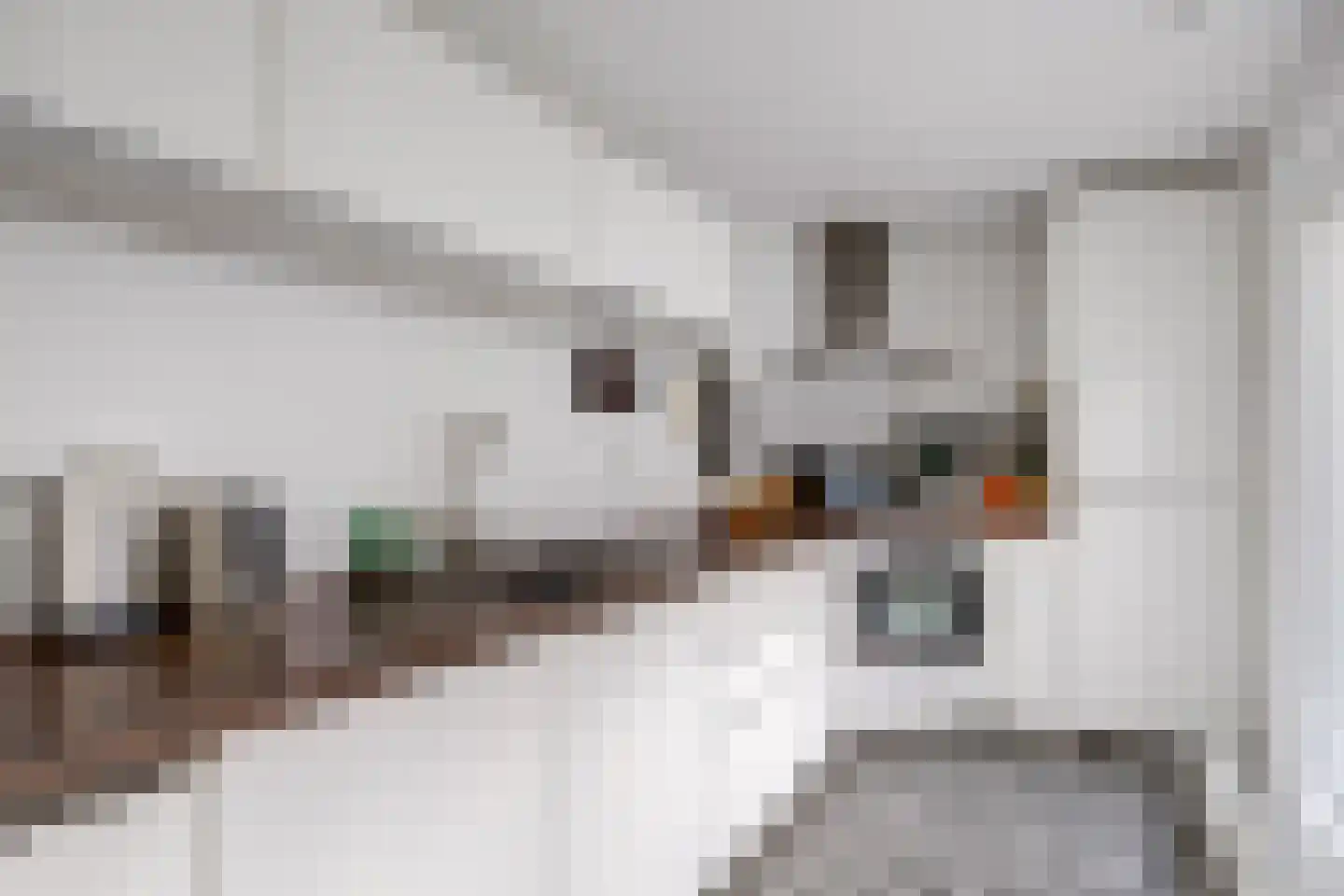 Leidseweg 61 Utrecht thumbnail 4