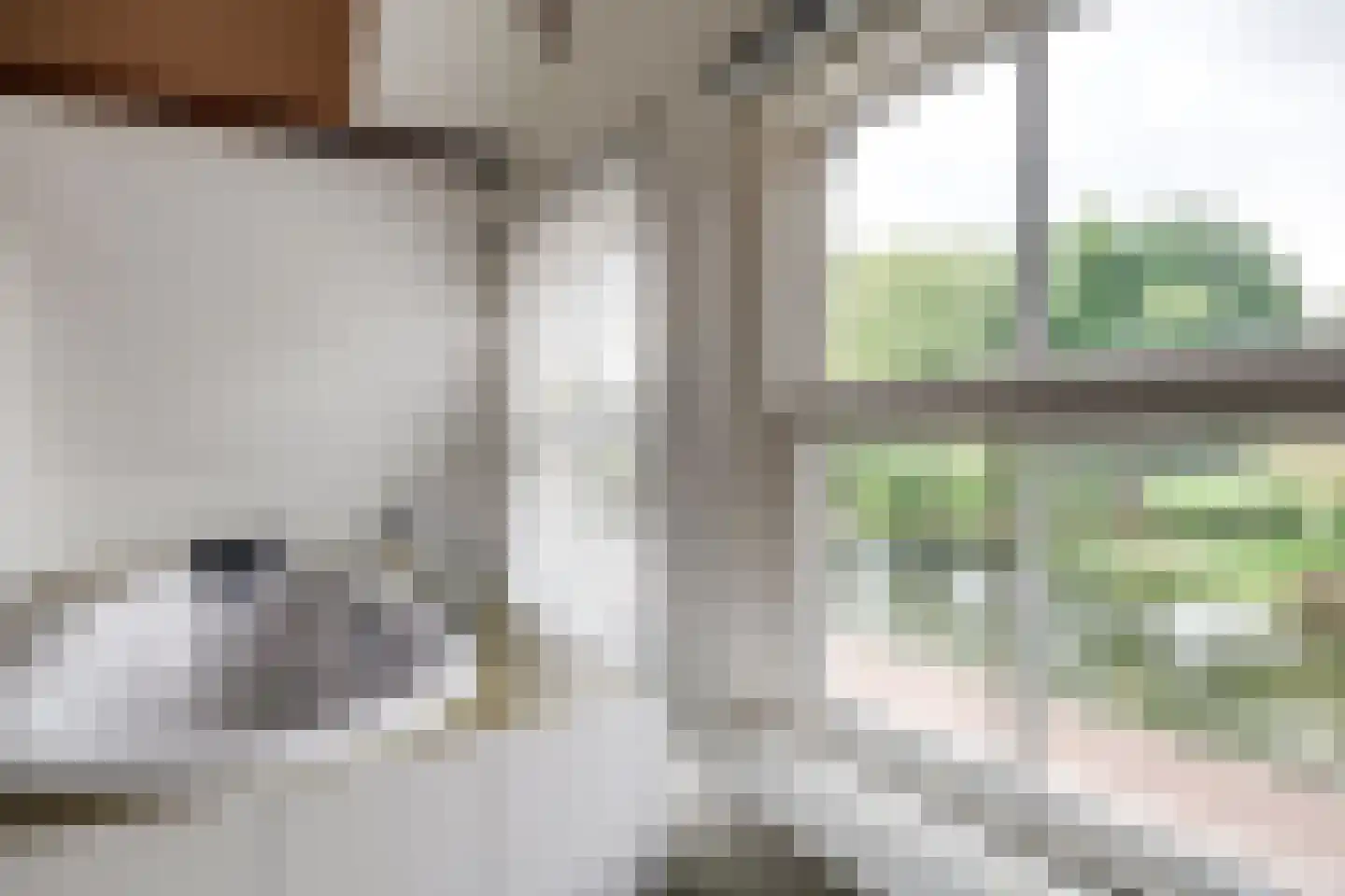 Leidseweg 61 Utrecht thumbnail 41