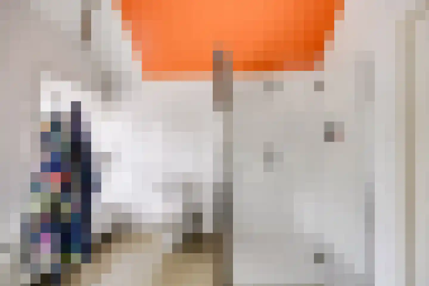 Leidseweg 61 Utrecht thumbnail 43