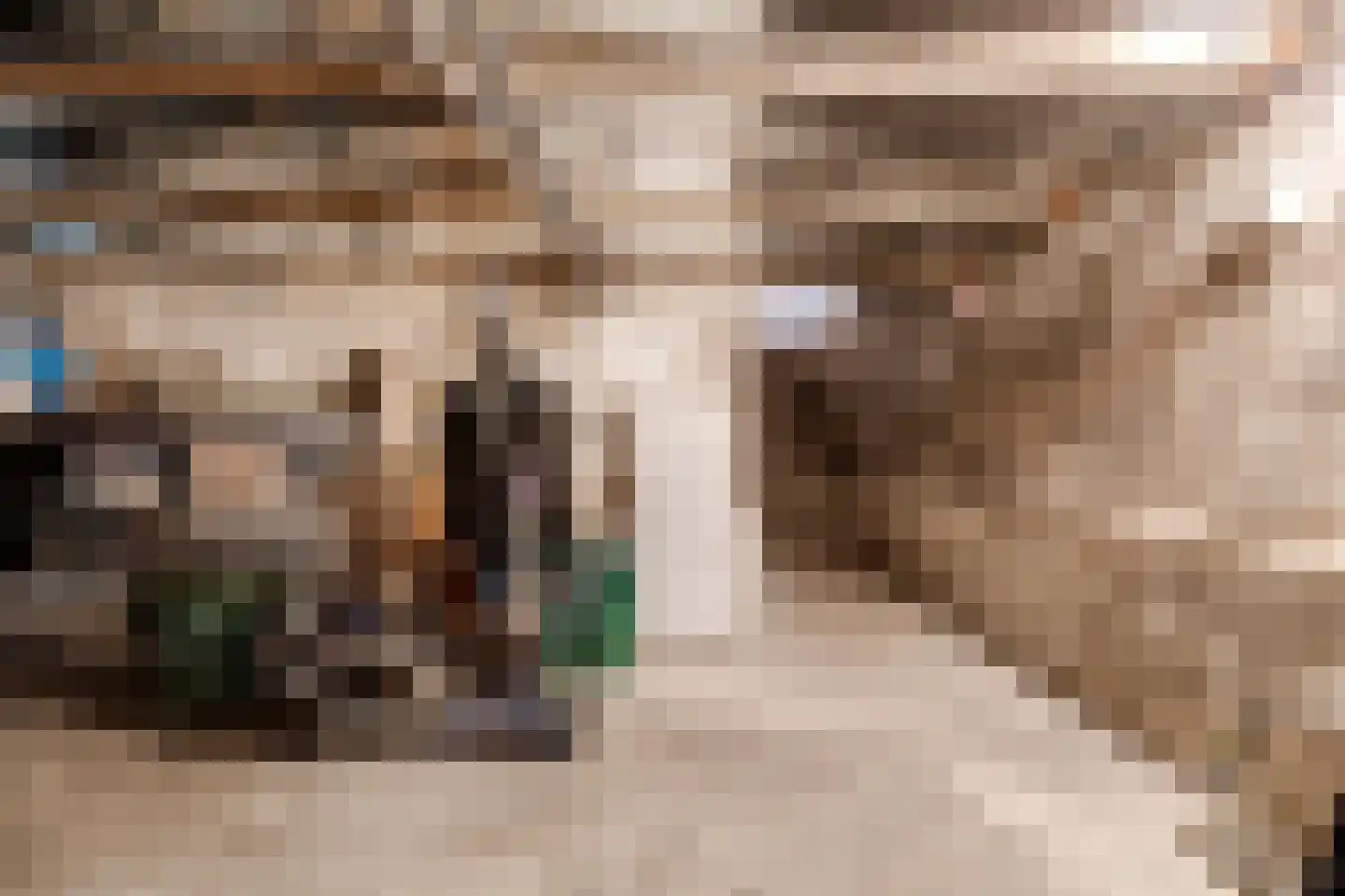 Leidseweg 61 Utrecht thumbnail 46