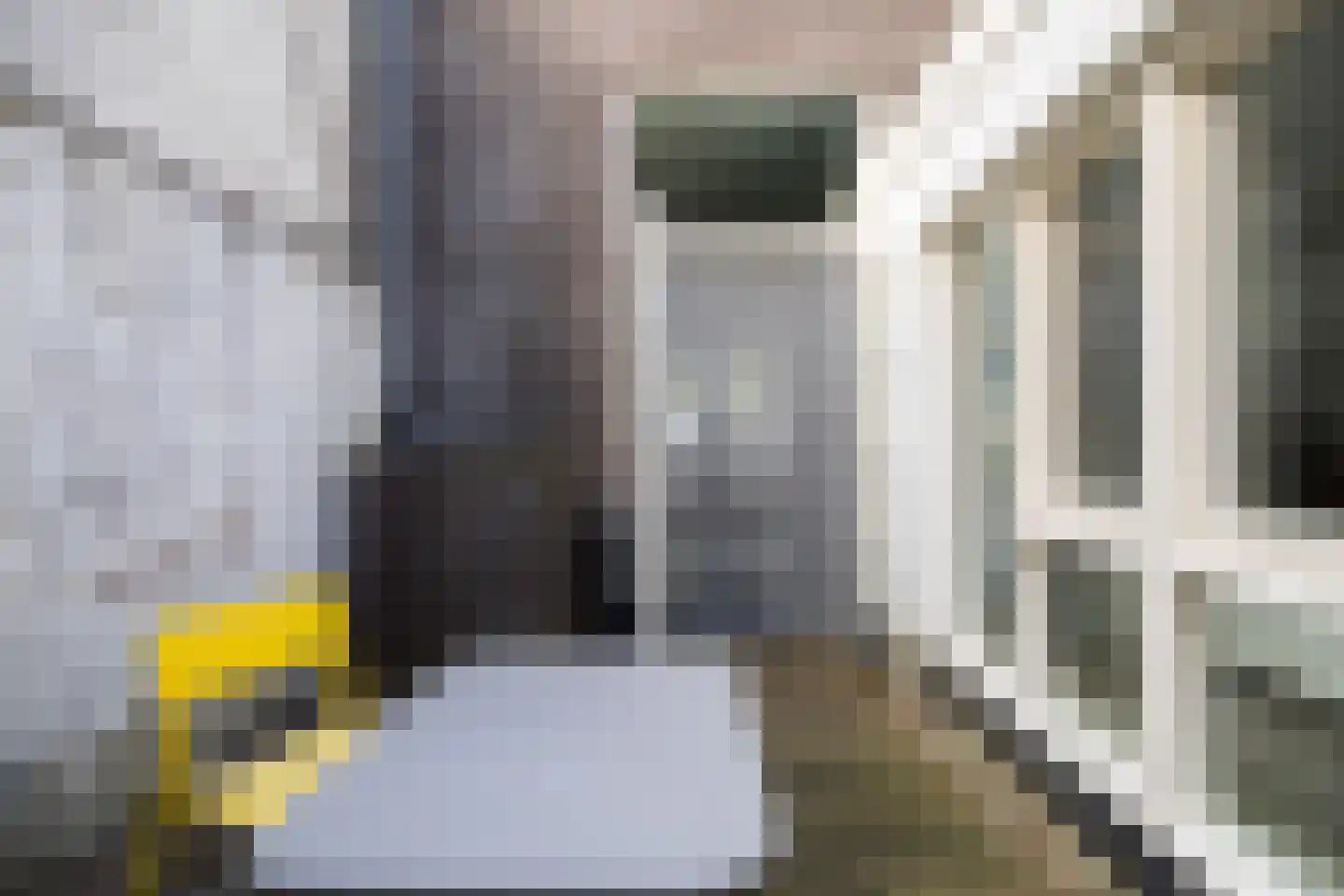 Leidseweg 61 Utrecht thumbnail 50