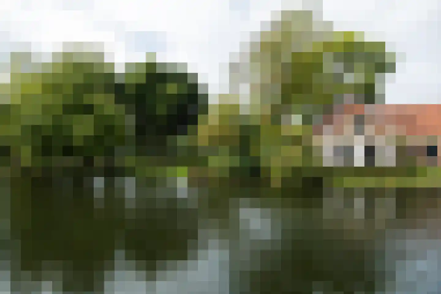 Leidseweg 61 Utrecht thumbnail 57