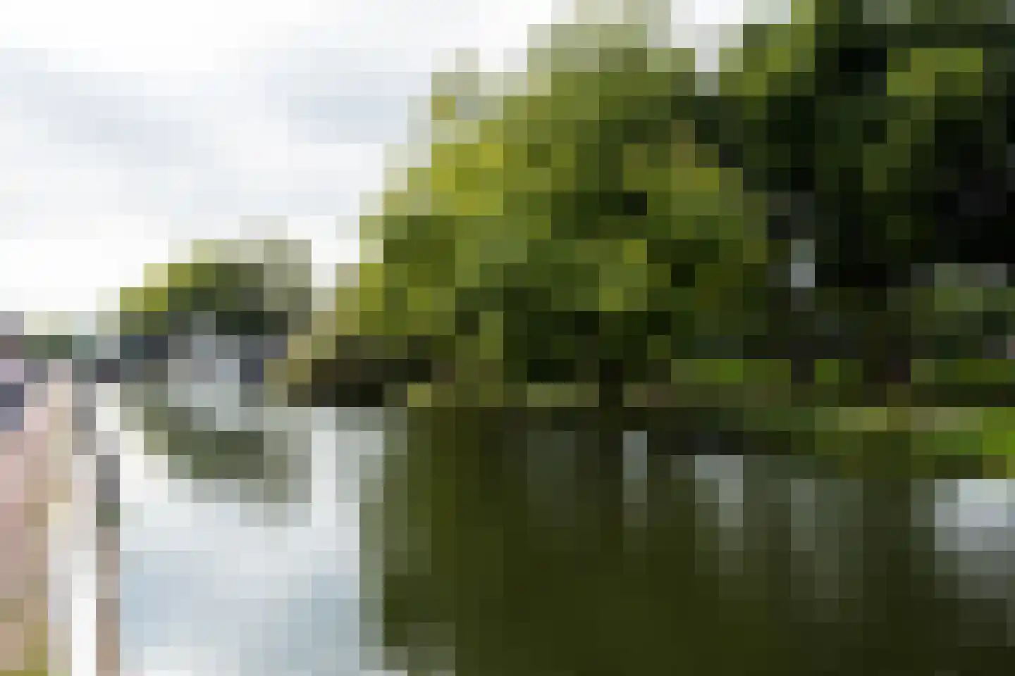 Leidseweg 61 Utrecht thumbnail 58