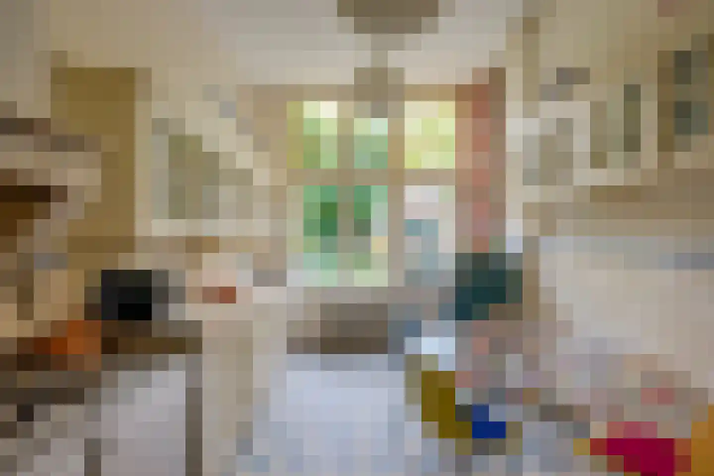 Leidseweg 84 Utrecht thumbnail 16