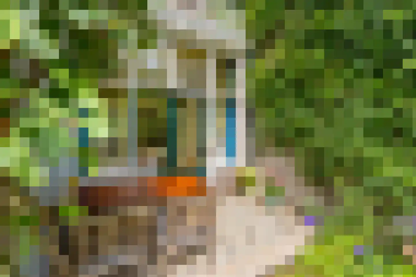 Leidseweg 84 Utrecht thumbnail 18