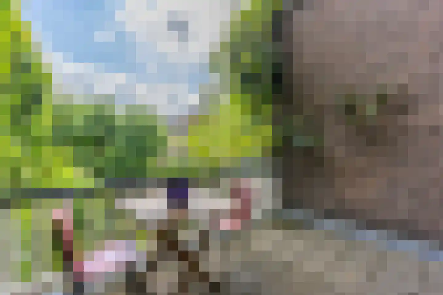 Leidseweg 84 Utrecht thumbnail 30