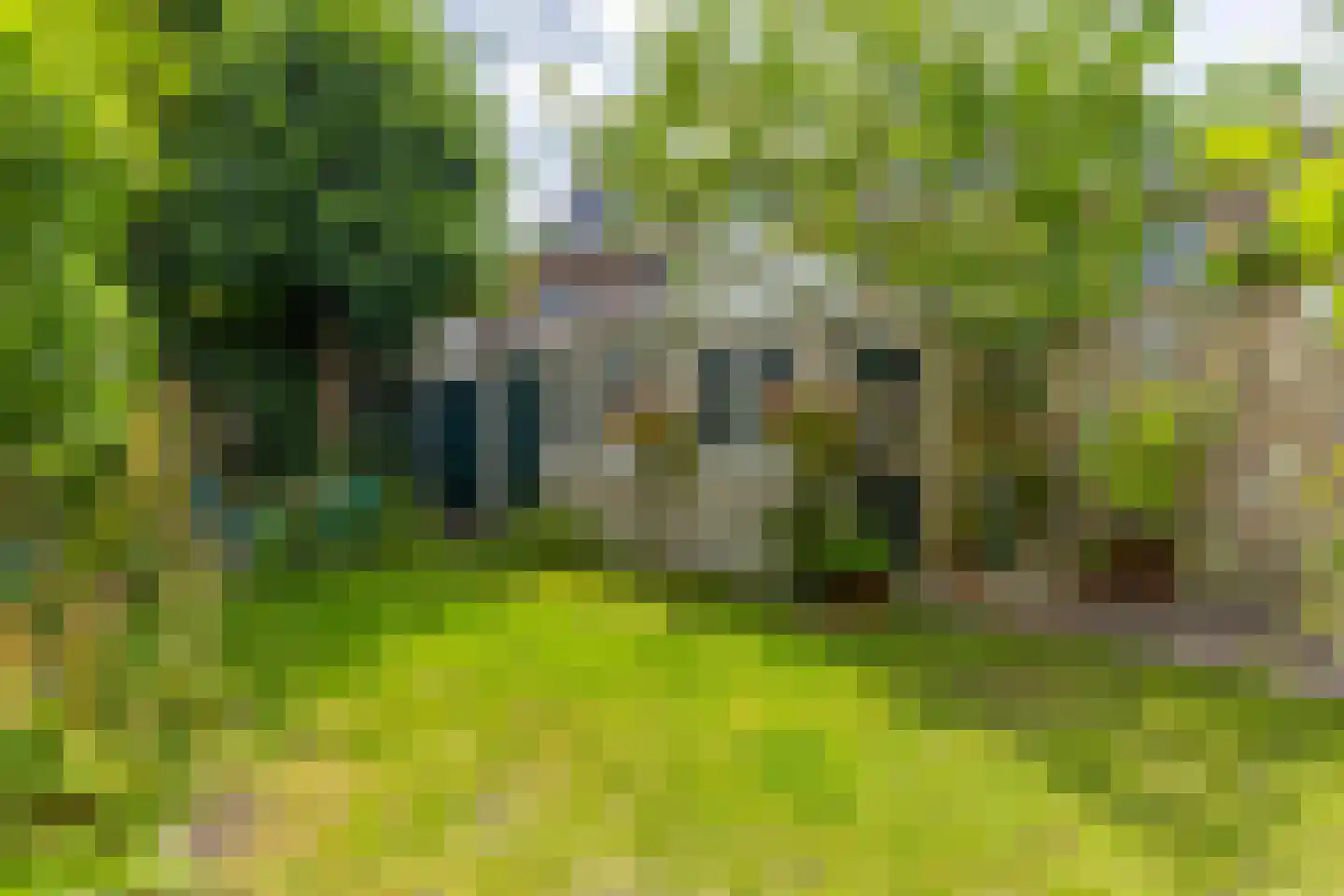 Leidseweg 84 Utrecht thumbnail 4