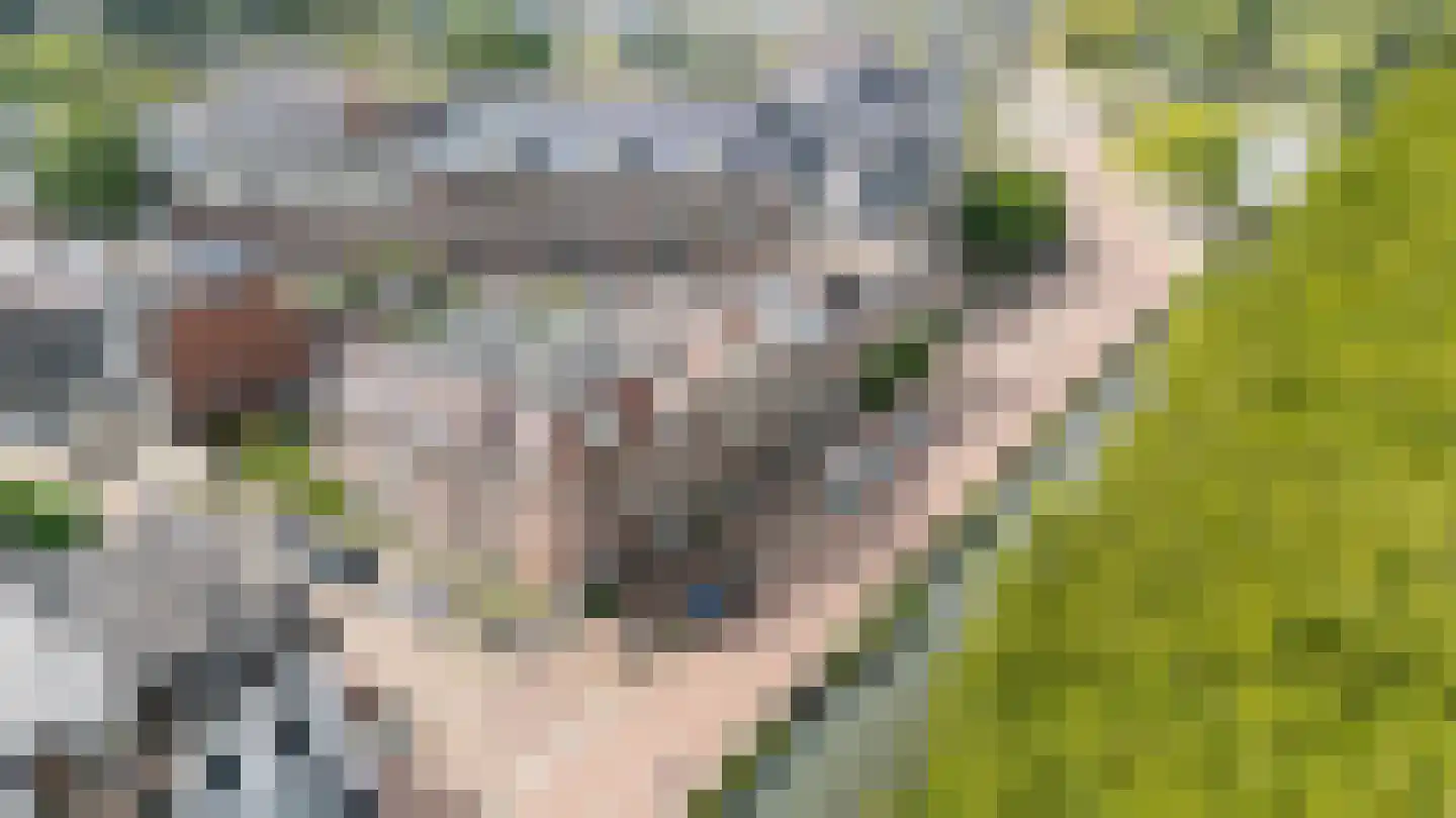 Leidseweg 84 Utrecht thumbnail 53